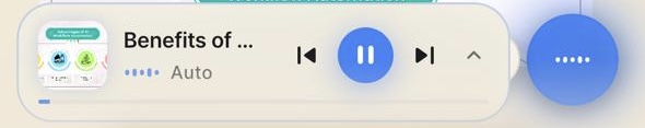 Audio controls